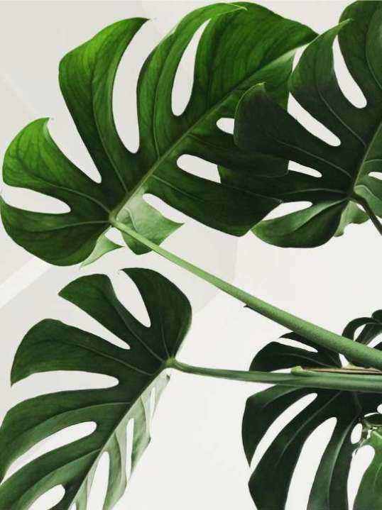 Anti-Aging Behandlung